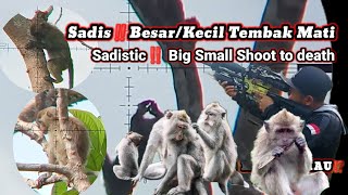 Download lagu SADIS‼️BANTAI HABIS BESAR KECIL HAMA KERA EKOR PANJANG🖍️Slaughter all the big and small monkey pests mp3