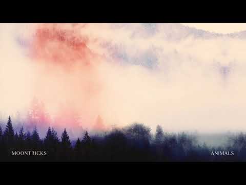 Moontricks - Animals
