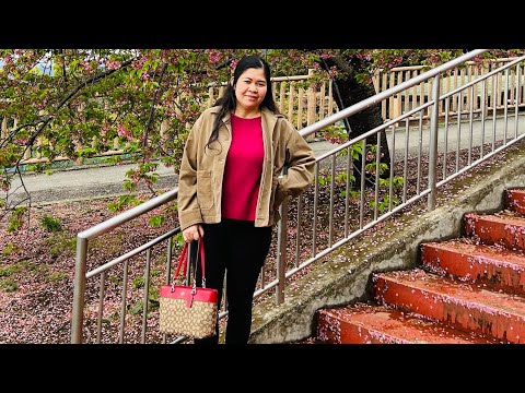 MATSUDA - Cherry blossom festival