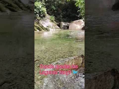 En la provincia de Napo, cantón Tena, parroquia Talag. Ecuador, #gonzalocamacho #proceso 🐦🐒🦆🦋🐍🦅🌳
