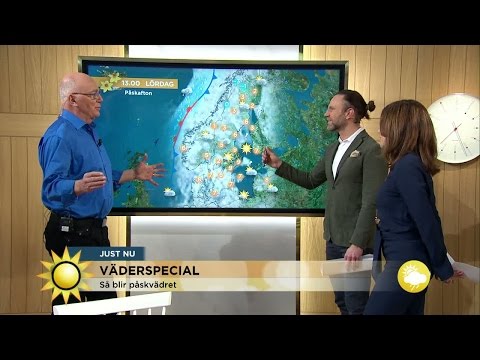 ”Det ska herrskapet veta – det blir det inte alls” - Nyhetsmorgon (TV4)