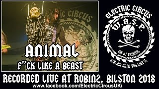 Electric Circus UK (WASP Tribute band) Animal, F*ck Like A Beast.(W.A.S.P. cover), Robin2 Electric Circus UK (WASP Tribute band) Animal, F*ck Like A Beast.(W.A.S.P. cover), Robin2