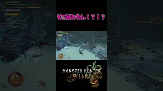亜空間尻尾攻撃　#MHWilds　#モンハンワイルズ　#モンスターハンターワイルズ #mhws #モンハン