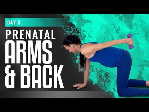 Pregnancy Cardio Workout Day 1 Pregnancy Workout Challenge Pregnancy Exercises