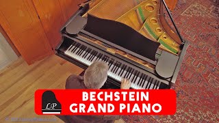 Bechstein Grand Piano For Sale - Living Pianos