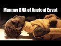 Mummy DNA Of Ancient Egypt ROBERT SEPEHR