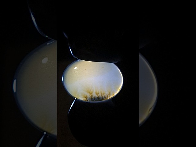 حجر عقيق شجري طبيعي مفحوص و موثق بشهادة مختبر