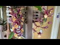 Catasetum Blooms Thrips Update New Orchid Blooms