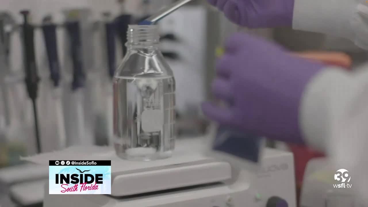 Standard Process supplements’ nutritional benefits