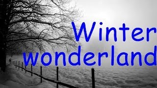 Michael Bublé &amp; Rod Stewart - Winter wonderland (lyrics)