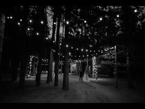 Juoda/Balta media #5