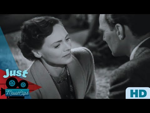 𝗧𝗼 𝗙𝗲𝗲𝗹 𝗜𝗻𝘁𝗲𝗻𝘀𝗲𝗹𝘆 𝗪𝗶𝘁𝗵 𝗔 𝗦𝘁𝗿𝗮𝗻𝗴𝗲𝗿  | 𝗕𝗿𝗶𝗲𝗳 𝗘𝗻𝗰𝗼𝘂𝗻𝘁𝗲𝗿𝘀 (𝟭𝟵𝟰𝟱)