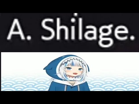 a. Shilage (Mihaly's full name in Ace Combat 7)