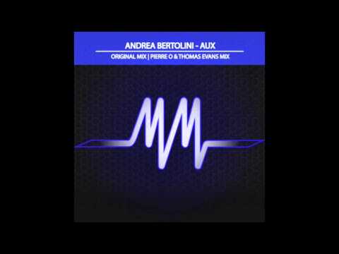 Andrea Bertolini - Aux