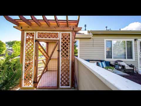 The Purrgola Catio Build by Cat Topia video