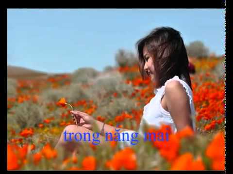 Đóa hoa tình yêu - Hoàng Quân