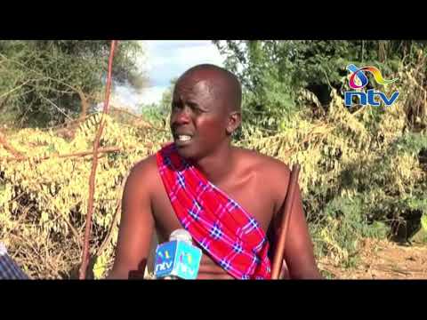 Ilchamus community circumcision ceremony preparations