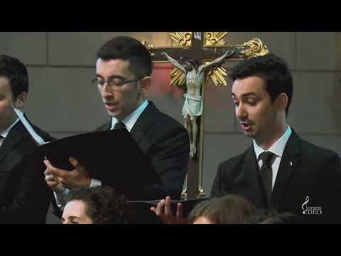 Coram Deo - Tara fara nori (Unclouded day)