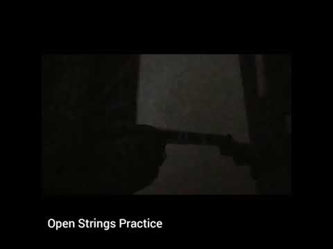 Beginner Violinist - Open Strings Practice