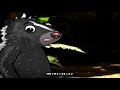 Mr Snail Skunk