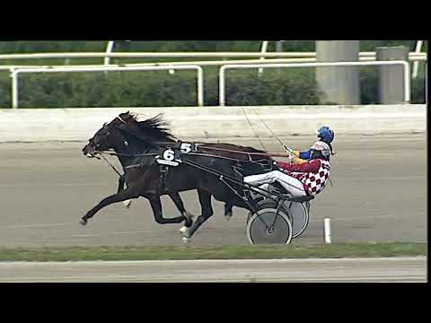 Napoli Trotto 12/02/2023 - 5ª corsa