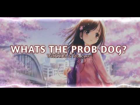Whats The Prob Dog? - WISEKIDS & Ida Corr (Edit audio)