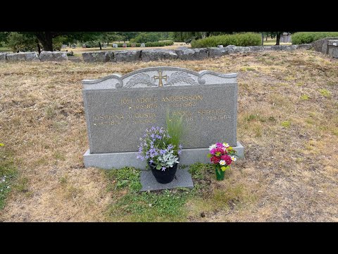 Stafsinge kyrkogård - Adolf Andersson