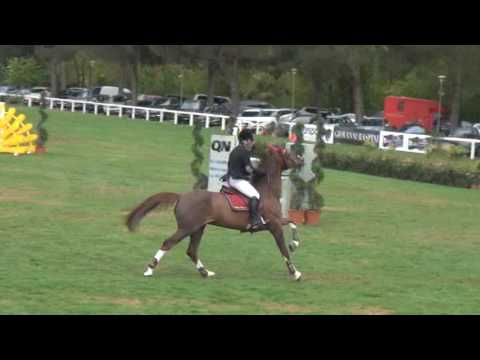 Toupie de la Roque Arezzo 09:04:2016