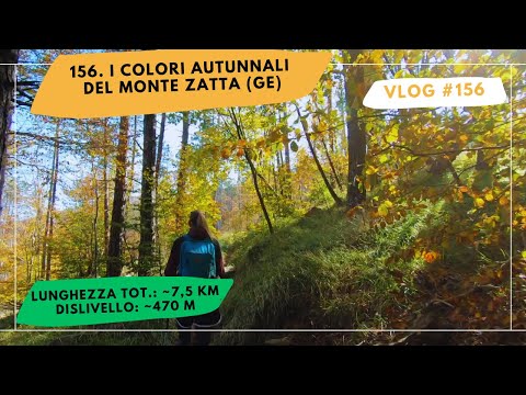 156. The autumn colours of Mount Zatta (GE)
