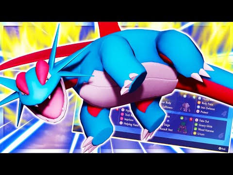 FLYING TERA HURRICANE SALAMENCE in the RAIN in VGC 2024 Regulation G