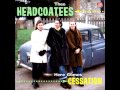 Thee Headcoatees / All Night Long