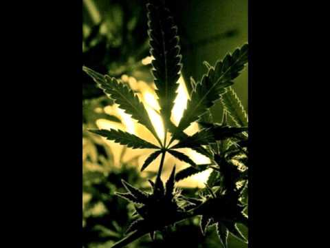 Ghette & Ms Ghette - Good Sensimilla