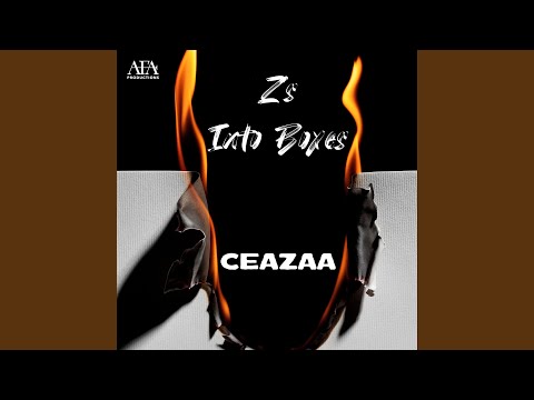 Z's into Boxes
