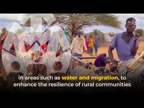 WASAG, The Global Framework on Water Scarcity in Agriculture