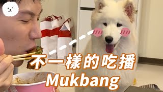 Download the video "【南瓜PUMPKIN】狗狗不一樣的吃播？！(薩摩耶Samoyed)"