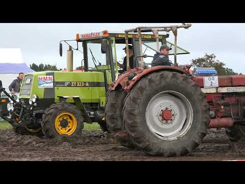 #1 Insel Poel Trecker Treck Case IH 1046 vs Fortschritt 323 A