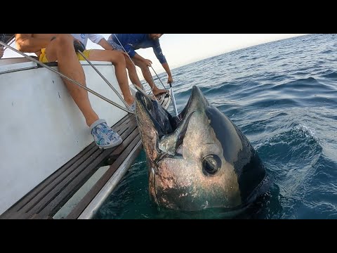 Tuna Challenge -- Straße von Gibraltar