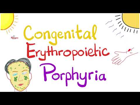 Congenital Erythropoietic Porphyria - A Disorder in Heme Synthesis Pathway -Biochemistry & Genetics