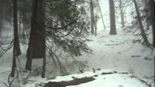 The Mountain ~ Dave Carter &amp; Tracy Grammer