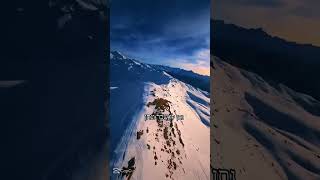 מְנִיעוֹת? זֶה רַק מֵאַהֲבַת הַשֵּׁם! (הרב שי עובד) - התמונה מוצגת ישירות מתוך אתר האינטרנט יוטיוב. זכויות היוצרים בתמונה שייכות ליוצרה. קישור קרדיט למקור התוכן נמצא בתוך דף הסרטון