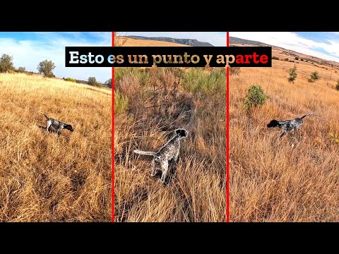 💥𝐒𝐞 𝐜𝐢𝐞𝐫𝐫𝐚 𝐞𝐥 𝐭𝐞𝐥ó𝐧💥 próxima parada: perdices, liebres y becadas