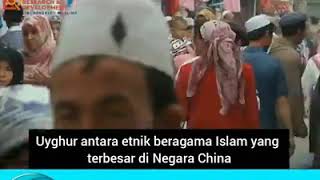 Download lagu Muslim uighur di china di paksa jadi komunis. Bila cina berkuasa di Malaysia ada nampak bunga2nya? mp3
