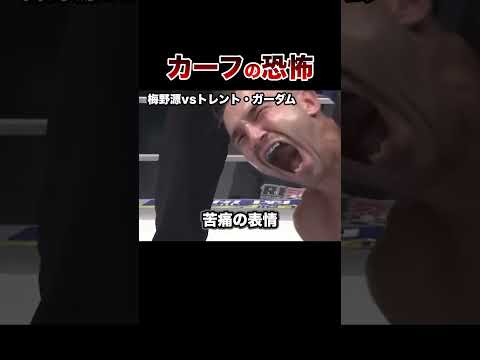 【放送禁止】恐ろしすぎるカーフキックKO試合５選【格闘技】Calf Kick #格闘技 #ボクシング #格闘技解説 #ボクシング解説 #梅野源 #トレント・ガーダム #井上尚弥