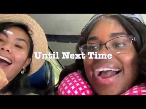 Our MSC Video Adventure: a Summary