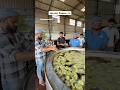 Jacuzzi Patra Of Surat Youtubeshortsindia Ytshortsindia Indianstreetfood Gujarat Streetfood