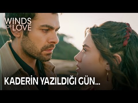 A Windy Hill story ❤️ | Winds of Love Episode 74 (MULTI SUB)