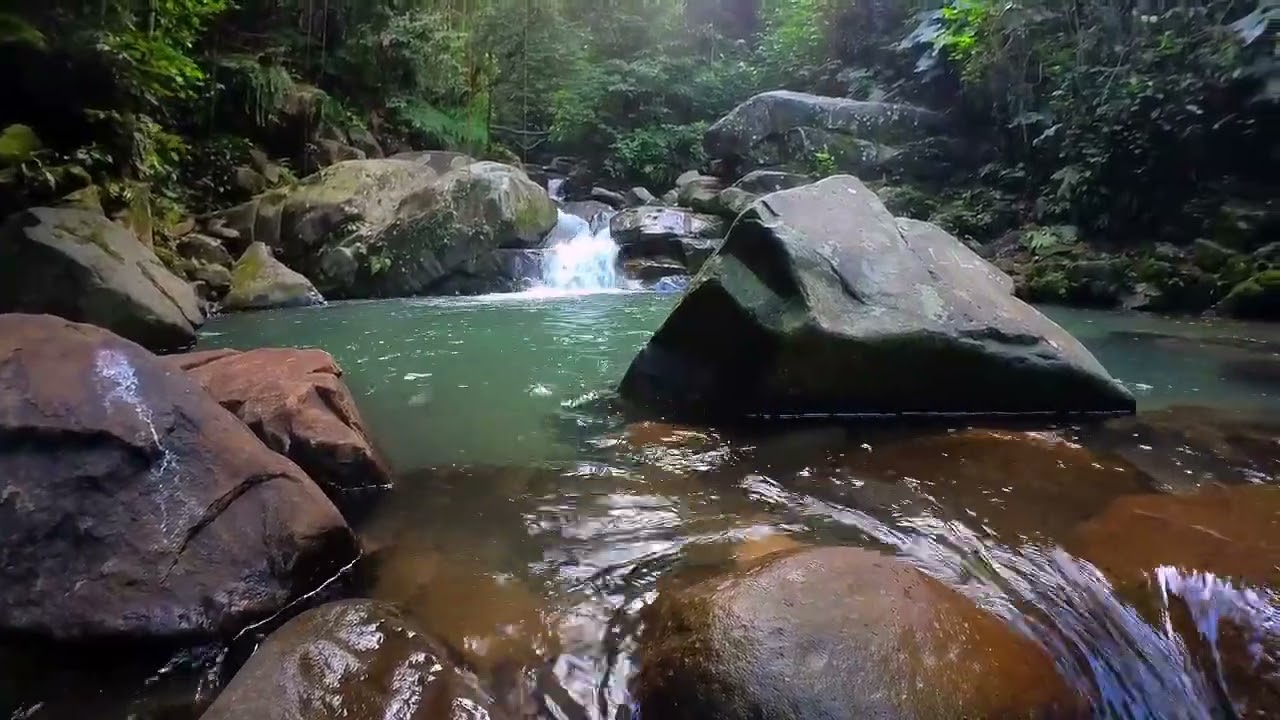 Cinematic Travel Vlog: Discovering Beautiful Sabah, Malaysia with Insta360 Go 2