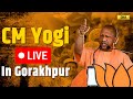 LIVE: CM Yogi Adityanath Live In Gorakhpur | Lok Sabha Elections 2024 | Ravi Kishan | BJP | UP News