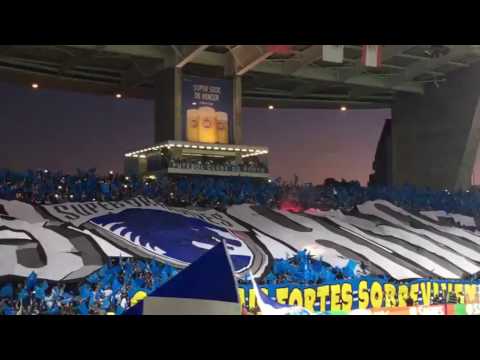 VISTO DE AZUL E BRANCO SUPER DRAGÕES