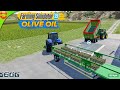Making Olives Oil in an Oil Factory | Farming Simulator 23 Mobile Production, fs23